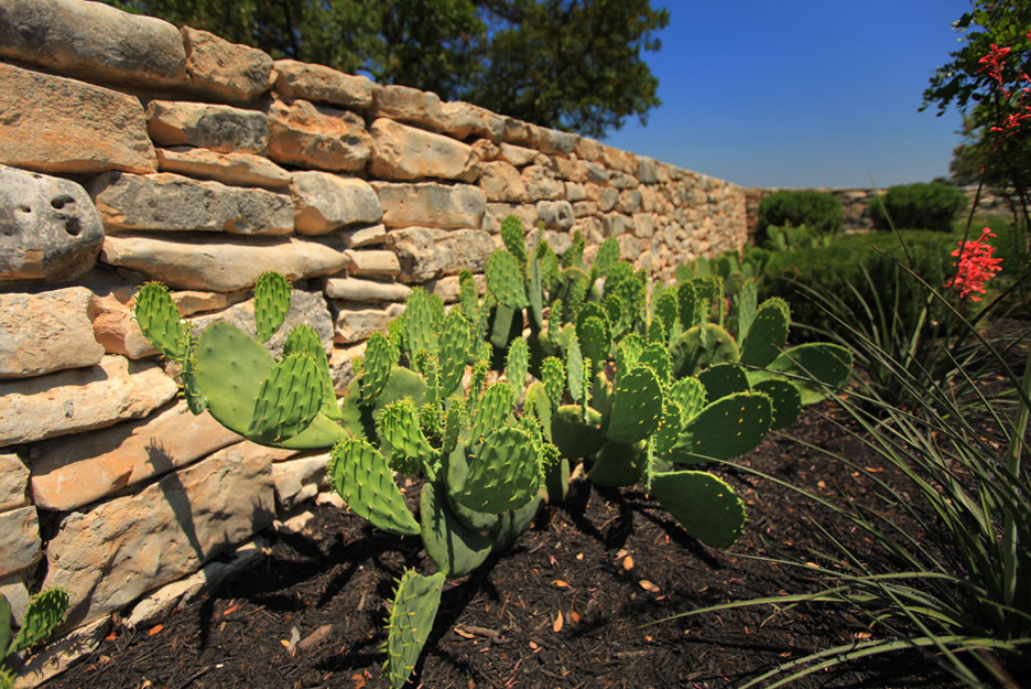 Meyer Ranch Trail System