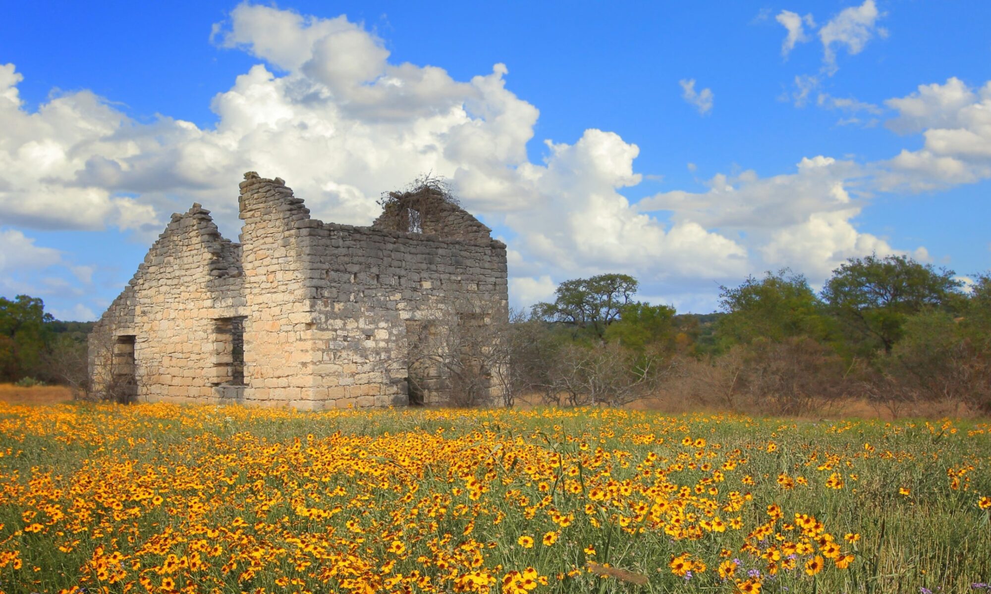 Original Heimer House surrounded by wildflowers