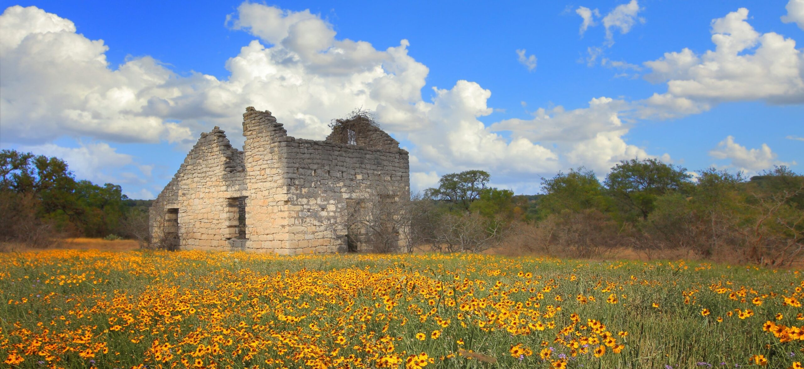 Original Heimer House surrounded by wildflowers